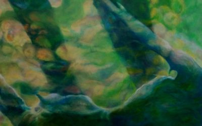 Luminous Nature: Upcoming June show @ Inn at Lynden